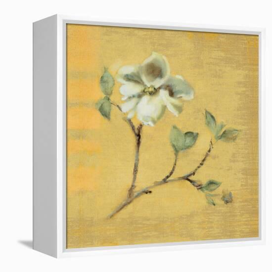 Dogwood Blossom on Gold-Cheri Blum-Framed Stretched Canvas