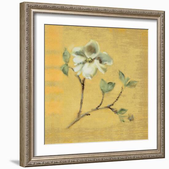 Dogwood Blossom on Gold-Cheri Blum-Framed Art Print