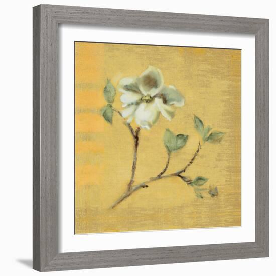 Dogwood Blossom on Gold-Cheri Blum-Framed Art Print