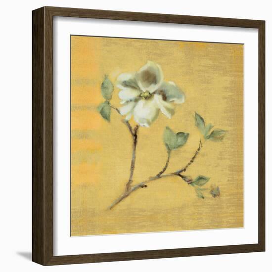 Dogwood Blossom on Gold-Cheri Blum-Framed Art Print