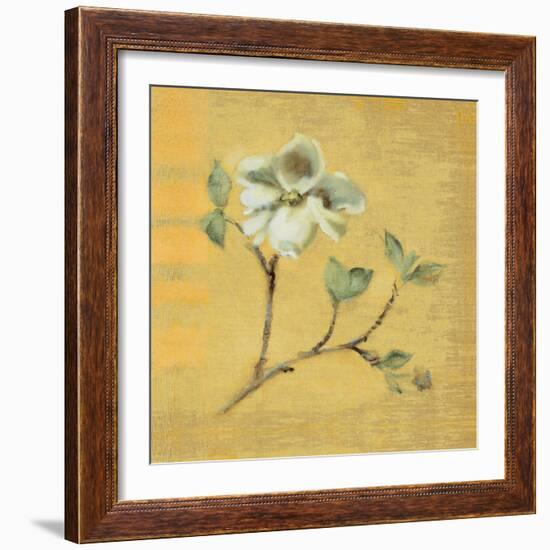 Dogwood Blossom on Gold-Cheri Blum-Framed Art Print