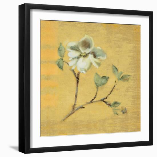 Dogwood Blossom on Gold-Cheri Blum-Framed Art Print