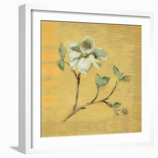 Dogwood Blossom on Gold-Cheri Blum-Framed Art Print