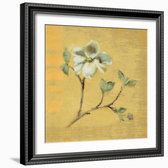 Dogwood Blossom on Gold-Cheri Blum-Framed Art Print