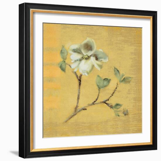 Dogwood Blossom on Gold-Cheri Blum-Framed Art Print