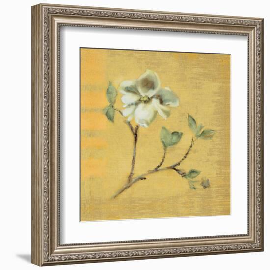 Dogwood Blossom on Gold-Cheri Blum-Framed Art Print