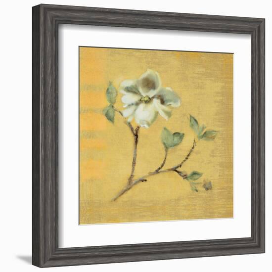 Dogwood Blossom on Gold-Cheri Blum-Framed Art Print