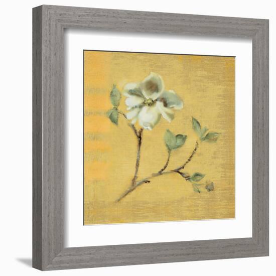 Dogwood Blossom on Gold-Cheri Blum-Framed Art Print