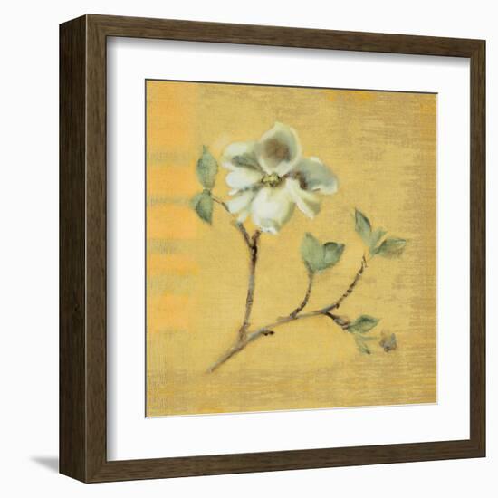 Dogwood Blossom on Gold-Cheri Blum-Framed Art Print