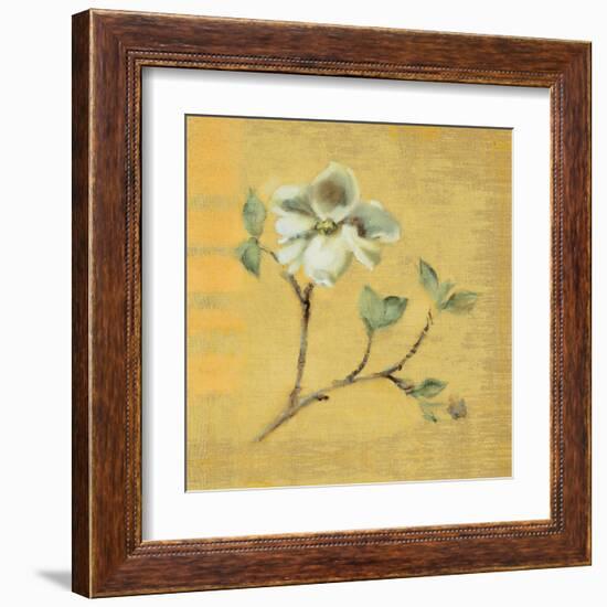 Dogwood Blossom on Gold-Cheri Blum-Framed Art Print