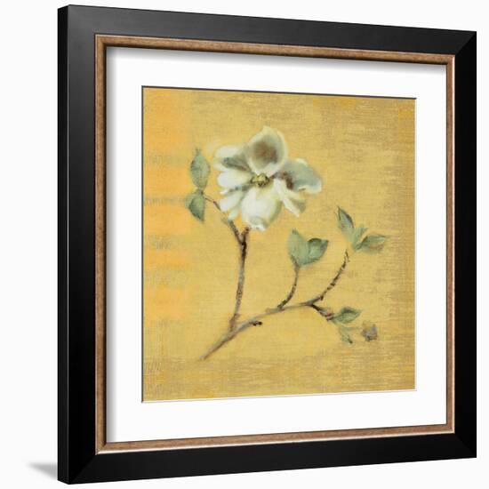 Dogwood Blossom on Gold-Cheri Blum-Framed Art Print