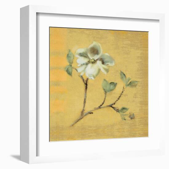 Dogwood Blossom on Gold-Cheri Blum-Framed Art Print