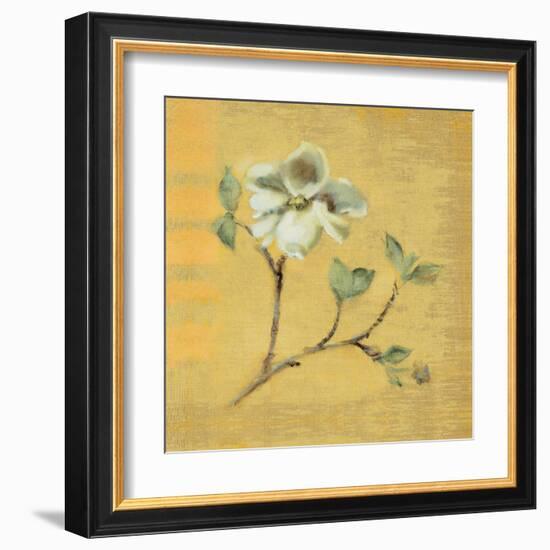 Dogwood Blossom on Gold-Cheri Blum-Framed Art Print