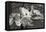 Dogwood Blossoms I BW-Erin Berzel-Framed Premier Image Canvas