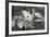 Dogwood Blossoms I BW-Erin Berzel-Framed Photographic Print