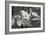 Dogwood Blossoms I BW-Erin Berzel-Framed Photographic Print