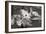 Dogwood Blossoms I BW-Erin Berzel-Framed Photographic Print