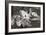 Dogwood Blossoms I BW-Erin Berzel-Framed Photographic Print