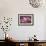 Dogwood Blossoms I-Erin Berzel-Framed Photographic Print displayed on a wall