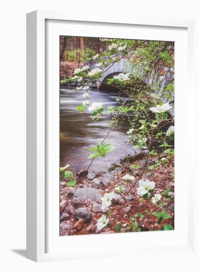 Dogwood Bridge, Yosemite National Park, California-Vincent James-Framed Photographic Print