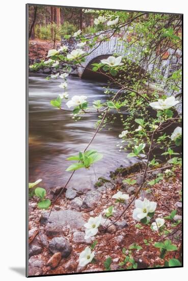 Dogwood Bridge, Yosemite National Park, California-Vincent James-Mounted Photographic Print