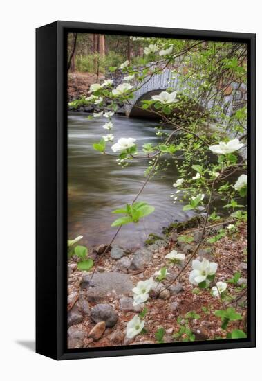 Dogwood Bridge-Vincent James-Framed Premier Image Canvas