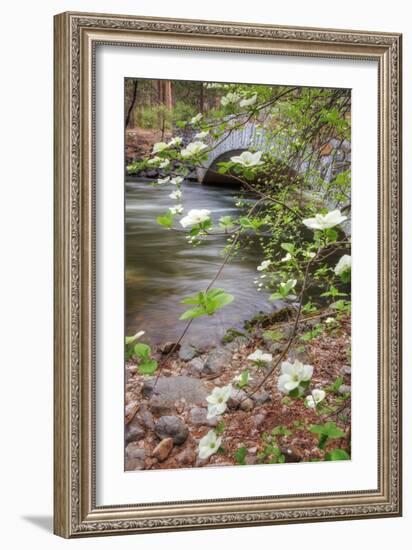 Dogwood Bridge-Vincent James-Framed Photographic Print