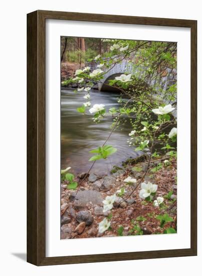 Dogwood Bridge-Vincent James-Framed Photographic Print