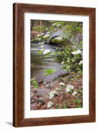 Dogwood Bridge-Vincent James-Framed Photographic Print