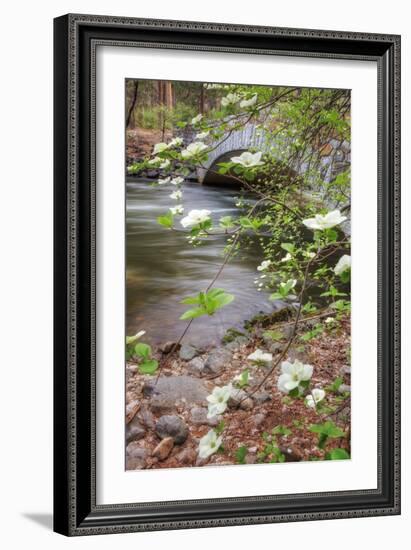 Dogwood Bridge-Vincent James-Framed Photographic Print