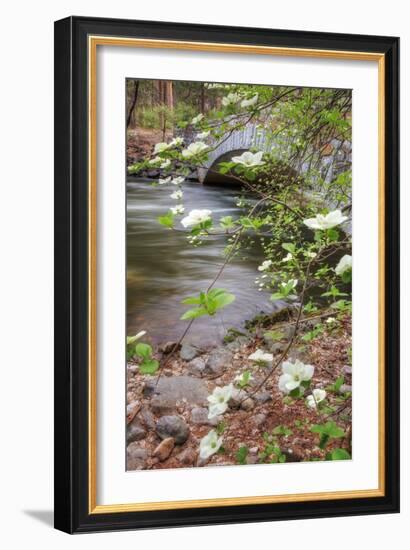 Dogwood Bridge-Vincent James-Framed Photographic Print