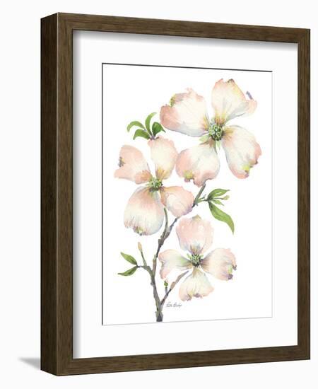 Dogwood Bunch-Patti Bishop-Framed Art Print