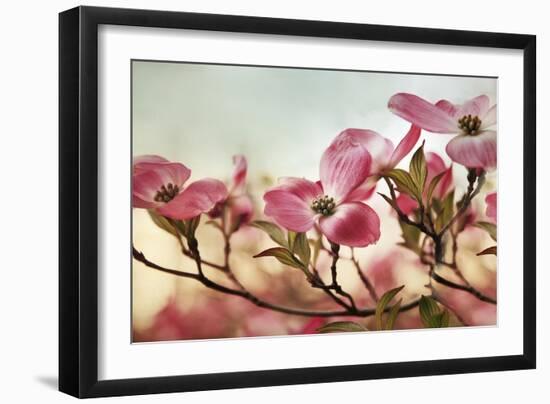 Dogwood Dreams-Jessica Jenney-Framed Giclee Print