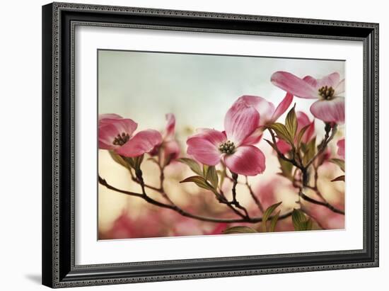 Dogwood Dreams-Jessica Jenney-Framed Giclee Print