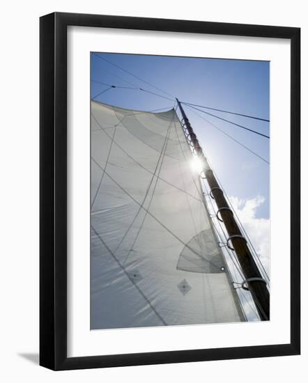 Dogwood Harbour, Tilghman Island, Talbot County, Chesapeake Bay Area, Maryland, USA-Robert Harding-Framed Photographic Print