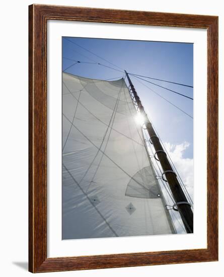 Dogwood Harbour, Tilghman Island, Talbot County, Chesapeake Bay Area, Maryland, USA-Robert Harding-Framed Photographic Print