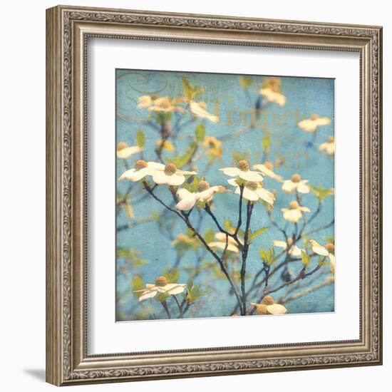 Dogwood I - Blossoming Tree-Amy Melious-Framed Art Print