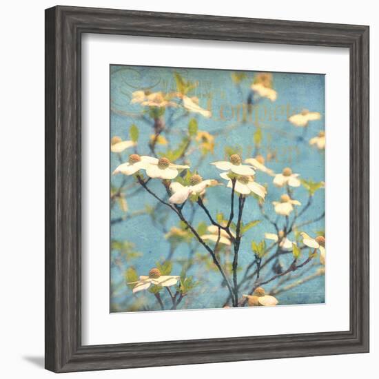 Dogwood I - Blossoming Tree-Amy Melious-Framed Art Print