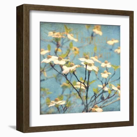 Dogwood I - Blossoming Tree-Amy Melious-Framed Art Print