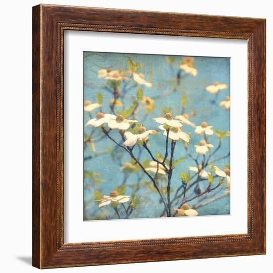 Dogwood I - Blossoming Tree-Amy Melious-Framed Art Print