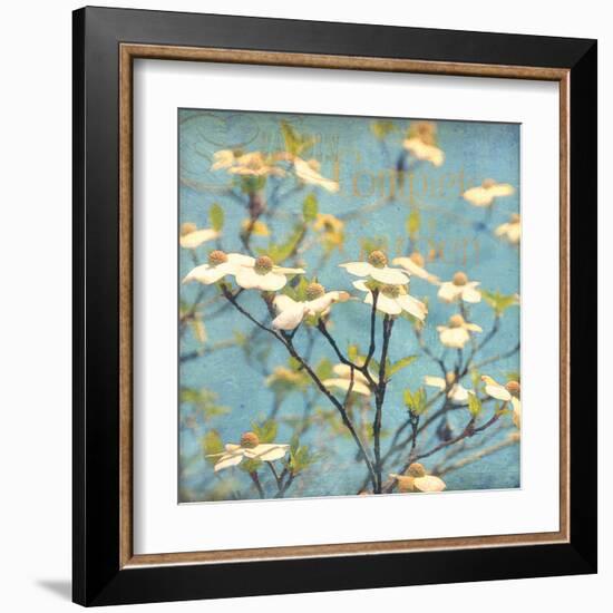 Dogwood I - Blossoming Tree-Amy Melious-Framed Art Print