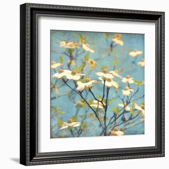 Dogwood I - Blossoming Tree-Amy Melious-Framed Art Print