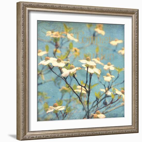 Dogwood I - Blossoming Tree-Amy Melious-Framed Premium Giclee Print