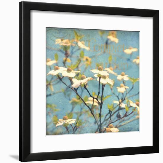 Dogwood I - Blossoming Tree-Amy Melious-Framed Premium Giclee Print