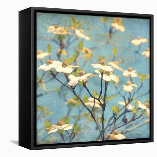 Dogwood I - Blossoming Tree-Amy Melious-Framed Stretched Canvas