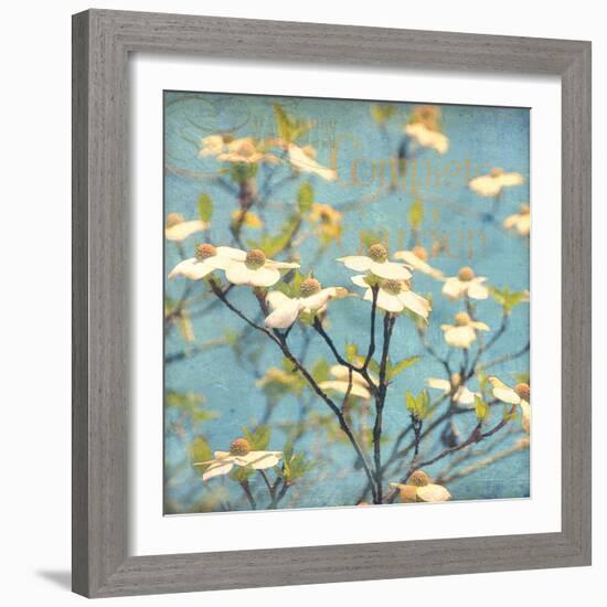 Dogwood I - Blossoming Tree-Amy Melious-Framed Art Print