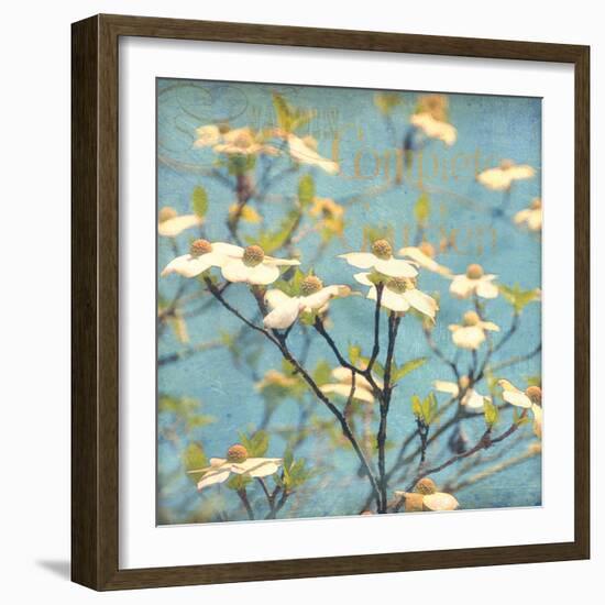 Dogwood I - Blossoming Tree-Amy Melious-Framed Art Print