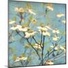 Dogwood I - Blossoming Tree-Amy Melious-Mounted Art Print