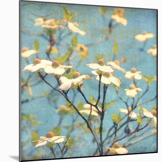 Dogwood I - Blossoming Tree-Amy Melious-Mounted Art Print