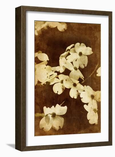 Dogwood I-Thea Schrack-Framed Giclee Print